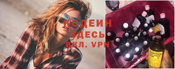 шишки Алексин