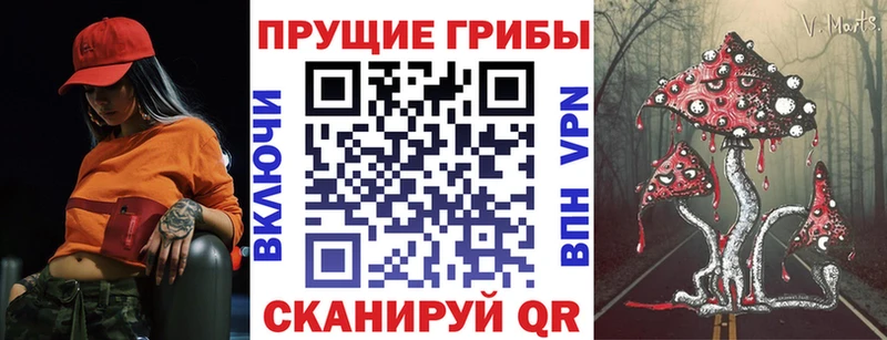 Псилоцибиновые грибы Psilocybine cubensis  Амурск 